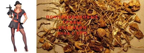 мяу мяу кристалл Армянск