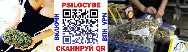 Псилоцибиновые грибы Psilocybine cubensis купить Калязин